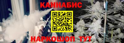 гидра Моздок