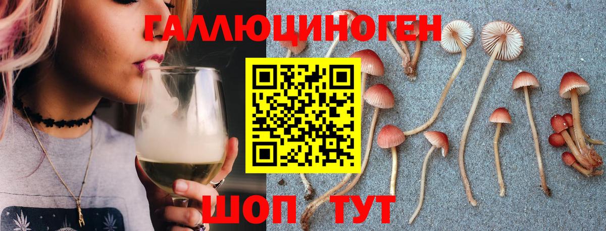 Псилоцибиновые грибы мицелий  Вход с VPN  где можно купить   Полевской 